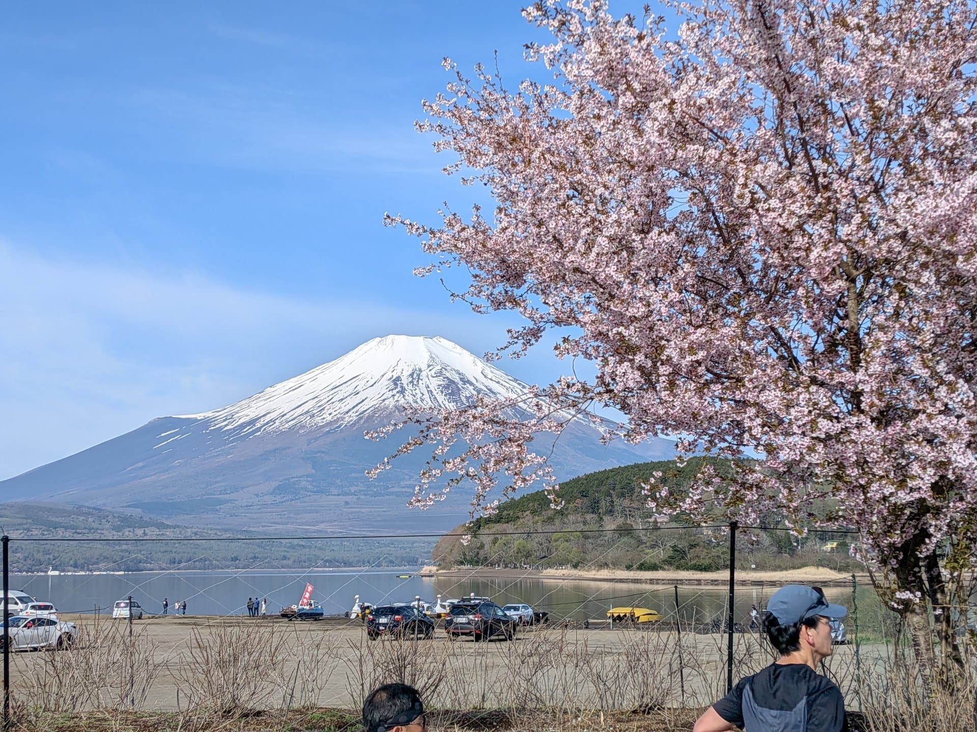 チャレンジ富士五湖ウルトラマラソン 管理人レポート